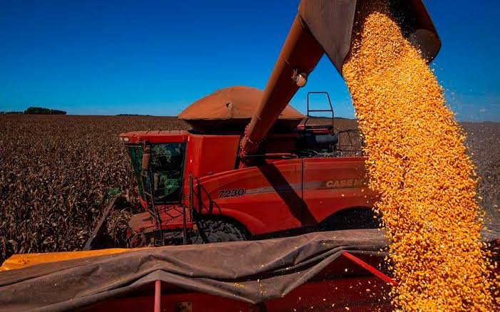 Soja brasileira é embarcada para mercados internacionais