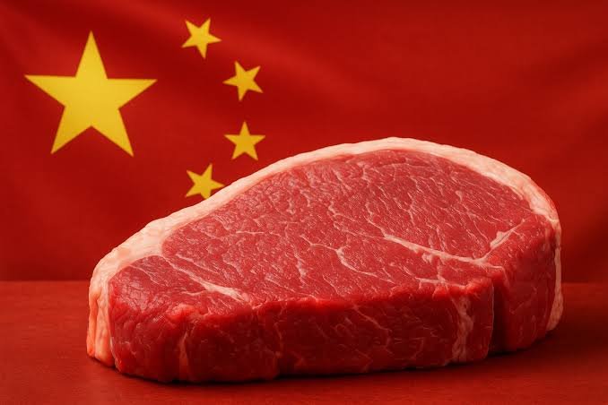 Frigorífico brasileiro prepara carne bovina para mercados externos