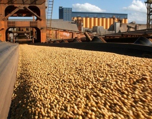 Soja acelera exportações e milho perde ritmo em setembro