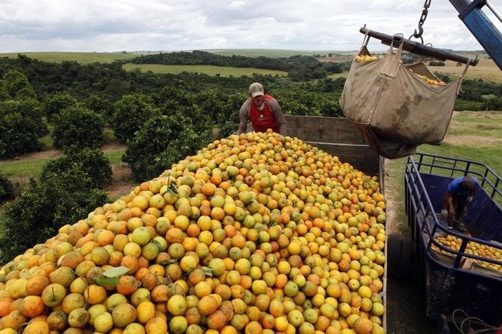 Bahia e Sergipe entram em operação de escoamento de laranja