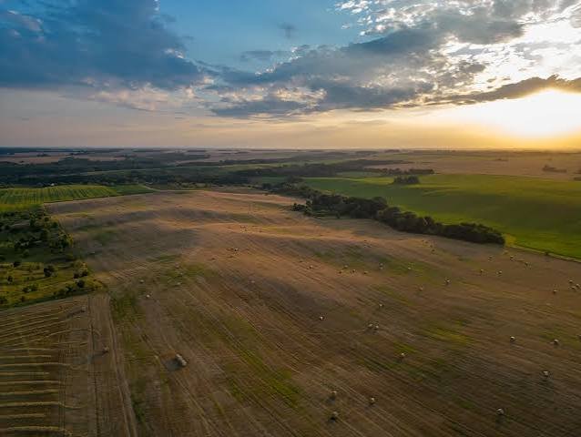 MATOPIBA busca produtividade e mais valor por hectare