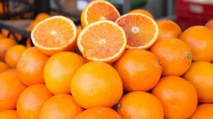 Laranja 2026/27: safra sobe para 263,2 milhões de caixas