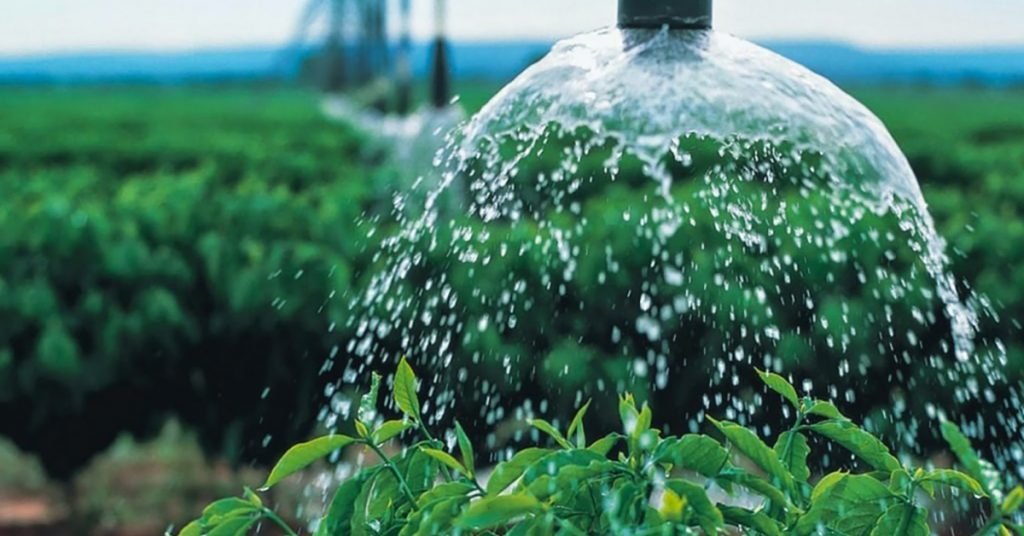 Produtividade da água ganha importância no agro do Semiárido