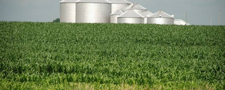 EUA ampliam isenções de biocombustíveis e pressionam milho e soja