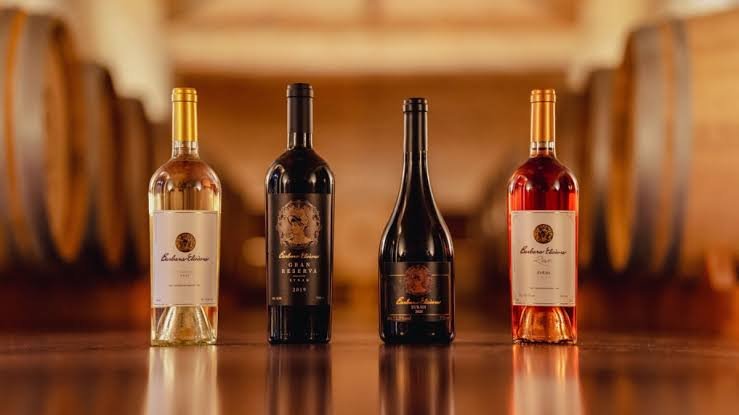 Vinhos brasileiros buscam novos compradores durante a ProWine