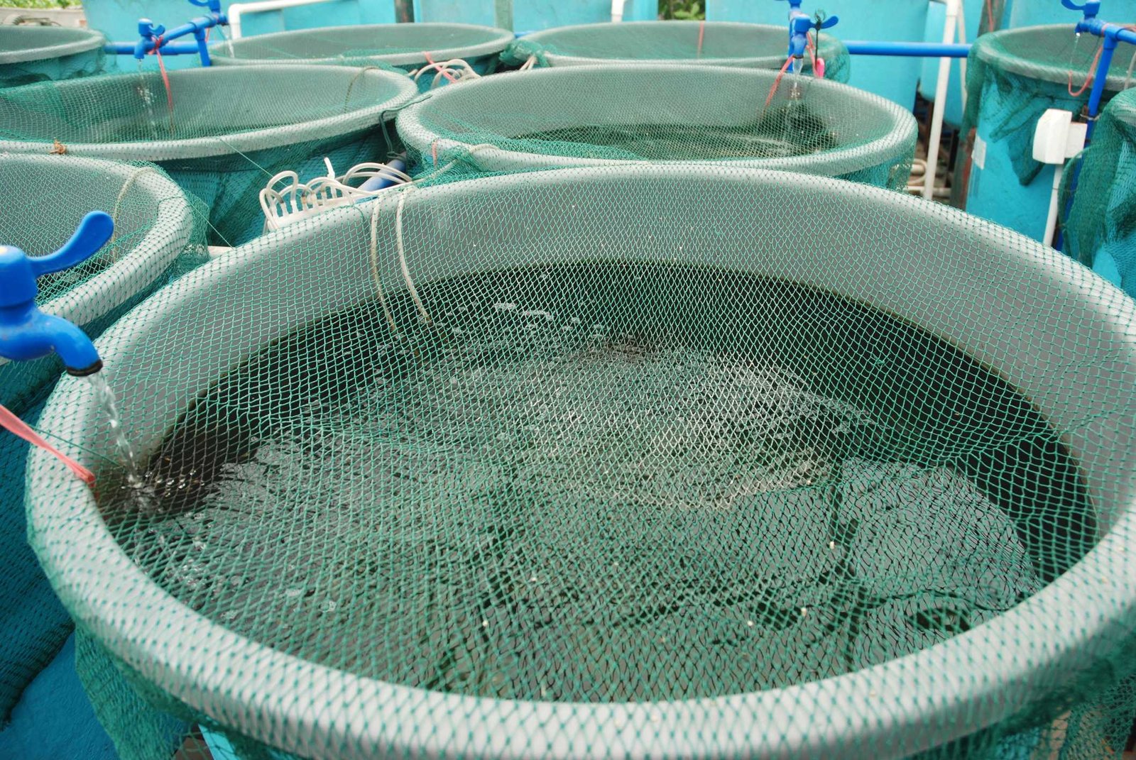 Pesca e aquicultura entram em agenda de crédito e projetos no Rio Grande do Norte