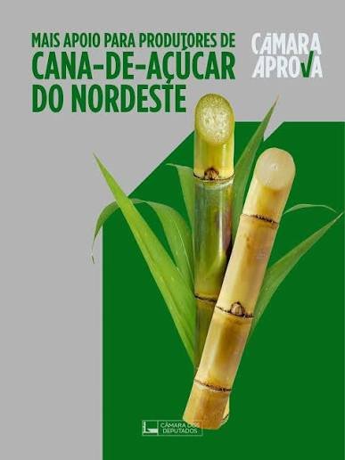 Auxílio da cana no Nordeste tem prazo de inscrição até 30 de outubro