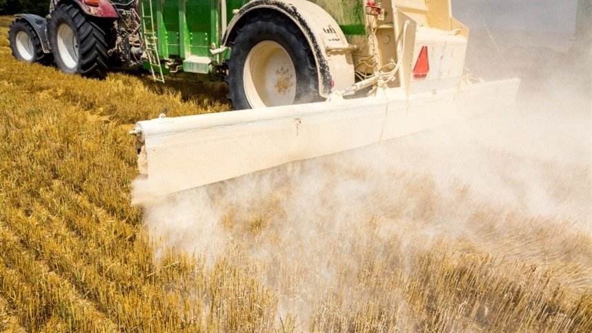 Experimento com eucalipto testa efeito do gesso agrícola no crescimento inicial