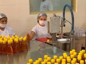 Piauí busca novos mercados após queda das exportações aos Estados Unidos