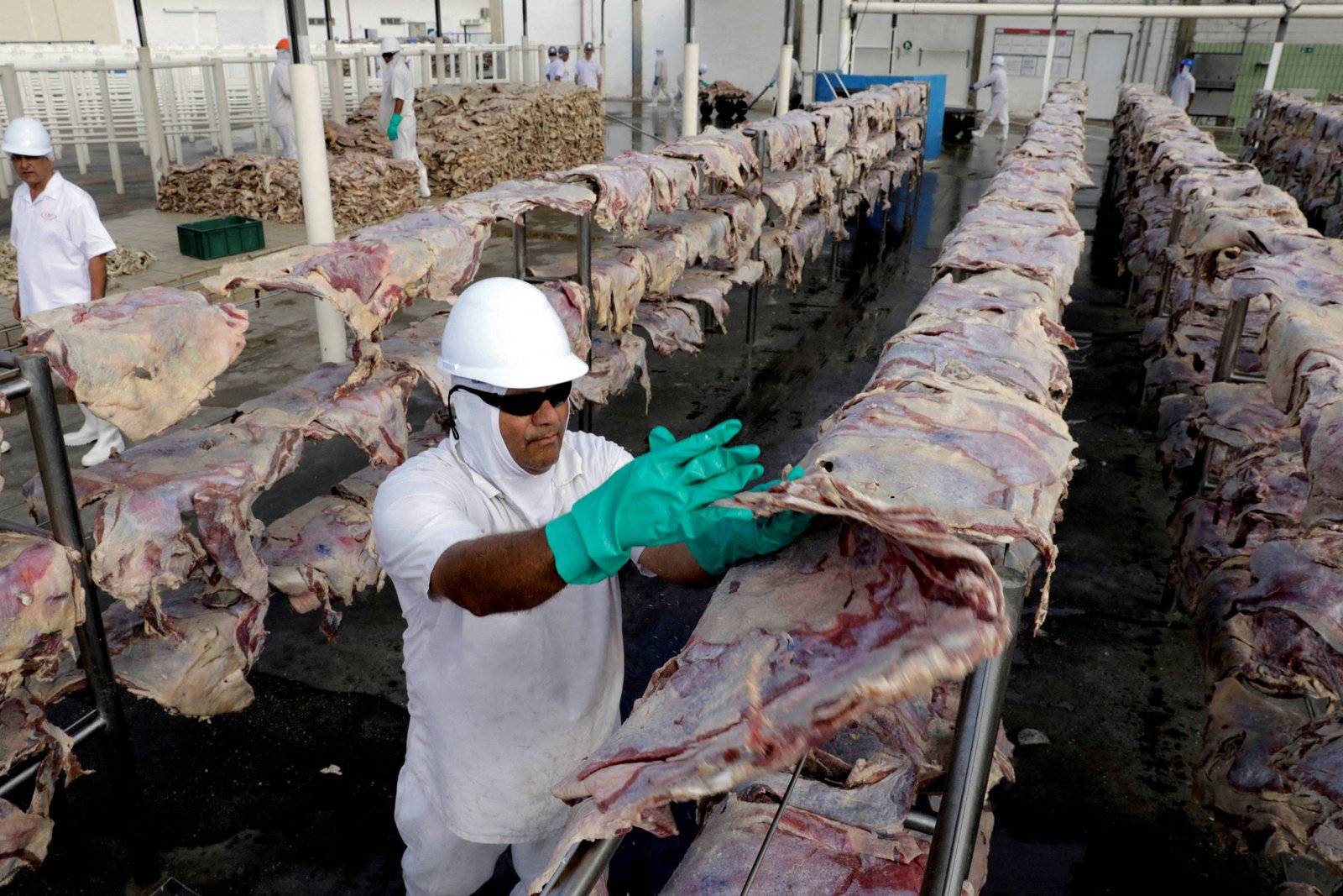 Carne bovina brasileira preparada para exportação