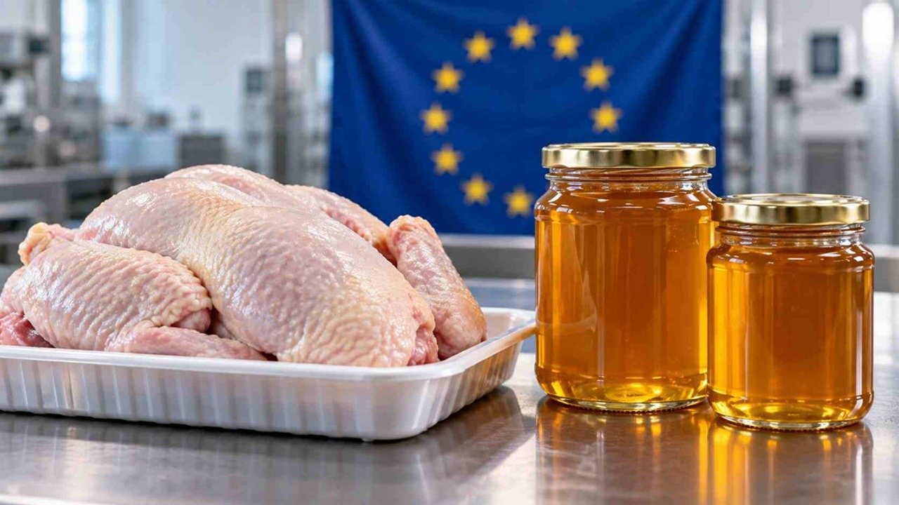 Controles sanitários integram acesso de aves e mel ao mercado europeu