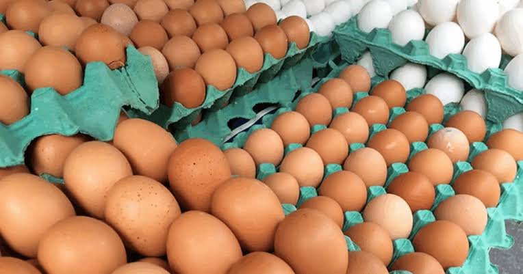 Consumo de ovos deve alcançar 301 unidades por habitante em 2026