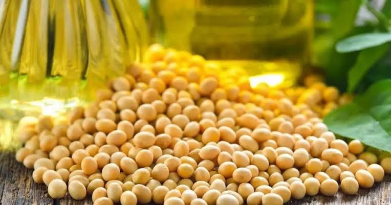 Abiove projeta esmagamento de 66 milhões de toneladas de soja em 2027