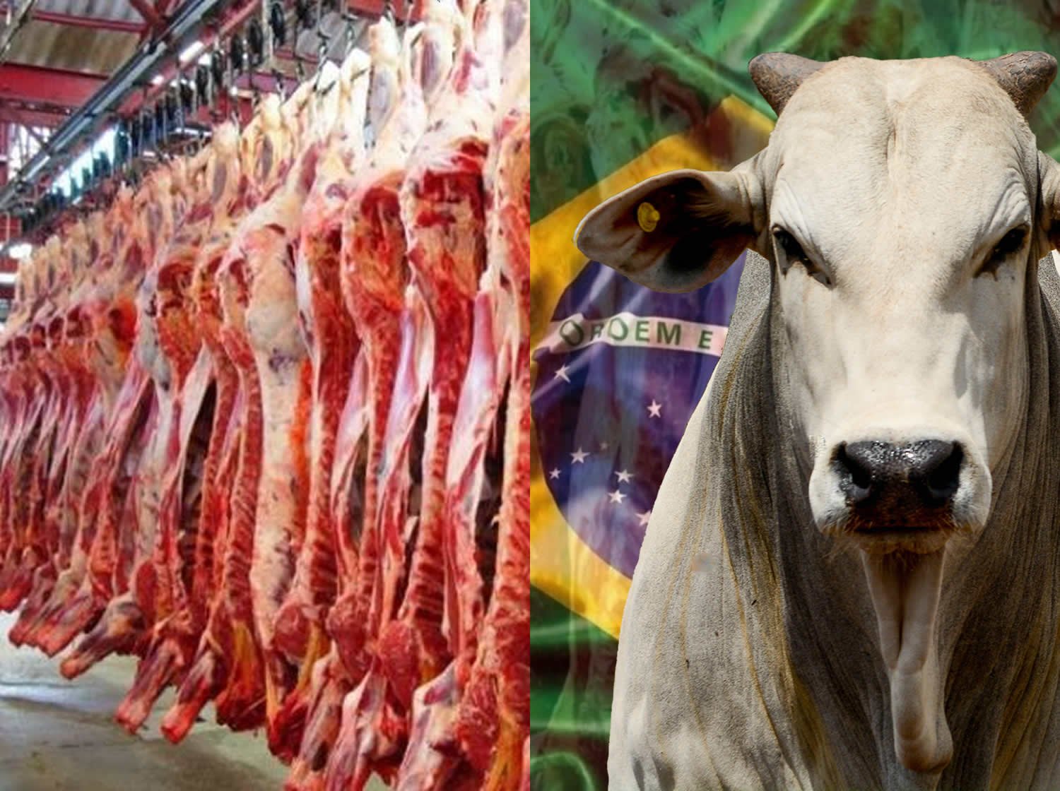 Carne bovina brasileira fecha mais de US$ 8 milhões em feira saudita