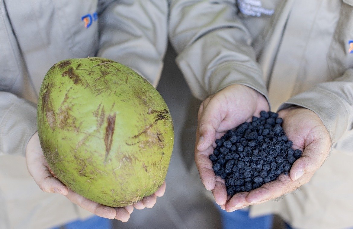 Cascas de coco usadas na produção experimental de biocarvão.