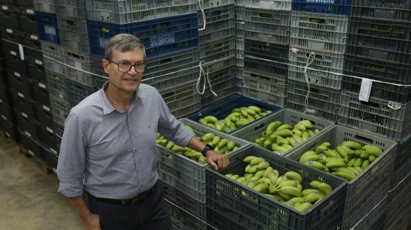 Frutas preparadas para transporte e distribuição no Nordeste.