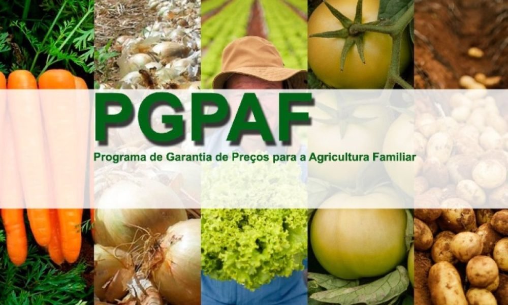 Nova tabela do PGPAF altera bônus do Pronaf a partir de 10 de outubro