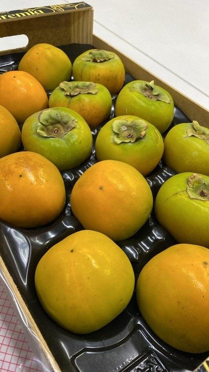 Fiscalização agropecuária inspeciona caquis importados