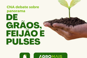 CNA Debate Demandas e Panorama das Cadeias de Grãos, Feijão e Pulses