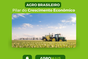 Agro Brasileiro: Pilar do Crescimento Econômico com Desafios Ambientais