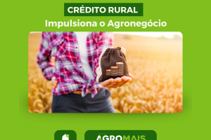 Crédito Rural Atinge R$ 293,1 Bilhões em Oito Meses, Impulsionando o Agronegócio