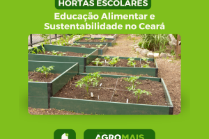 Hortas Escolares: Educação Alimentar e Sustentabilidade no Ceará