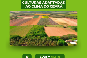 Desenvolvimento de Novas Variedades de Culturas Adaptadas ao Clima do Ceará