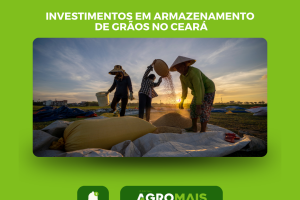 Investimentos em Infraestrutura de Armazenamento de Grãos no Ceará