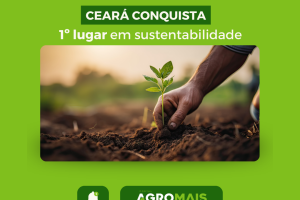  Ceará Conquista o 1º Lugar em Sustentabilidade Ambiental no Nordeste e 12º no Brasil