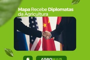 Mapa Recebe Diplomatas da Agricultura para Intercâmbio de Cooperações