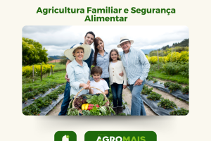 Agricultura Familiar e Segurança Alimentar: Uma Parceria Fundamental