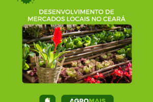 Desenvolvimento de Mercados Locais para Produtos Agroecológicos no Ceará
