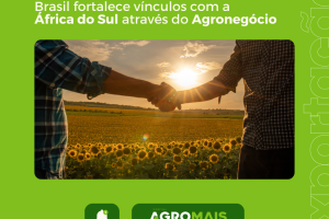 Brasil Fortalece Vínculos com a África do Sul através do Agronegócio