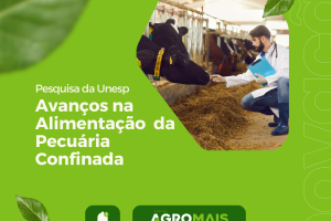 Pesquisa da Unesp Revela Avanços na Alimentação e Impactos Ambientais da Pecuária Confinada