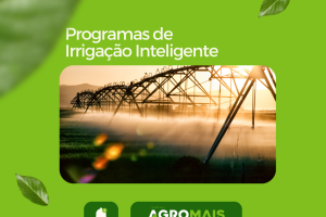 Programas de Irrigação Inteligente Impulsionam a Agricultura Sustentável no Ceará