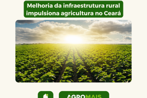 Melhoria da Infraestrutura Rural Impulsiona Agricultura no Ceará