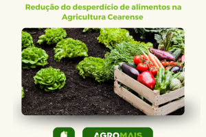 Redução do Desperdício de Alimentos: Um Desafio e Uma Oportunidade para a Agricultura Cearense