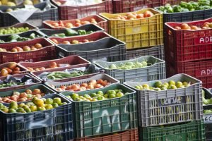 Boletim diário do Ceasa-CE atualiza preços do atacado e orienta o setor hortifruti no Ceará.