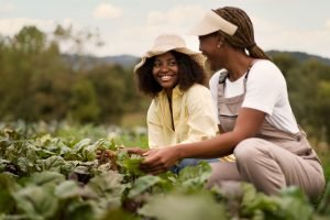 Estados do Nordeste discutem compras públicas e feiras para ampliar mercados da agricultura familiar.
