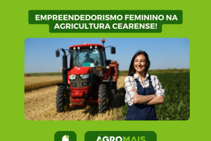 Empreendedorismo Feminino na Agricultura Cearense: Um Caminho de Resiliência