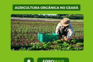 Agricultura Orgânica no Ceará: Uma Alternativa Sustentável de Produção