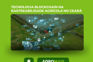 Tecnologia Blockchain na Rastreabilidade de Produtos Agrícolas no Ceará