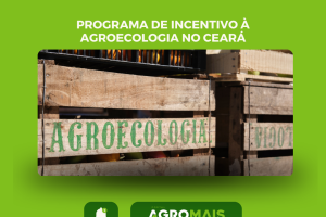 Programa de Incentivo à Agroecologia é Expandido para Mais Municípios do Ceará