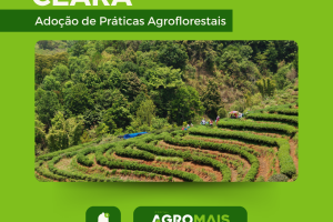 Adoção de Práticas Agroflorestais no Ceará