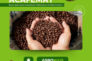 Acafemat Busca Apoio Legislativo para Impulsionar a Cafeicultura em Mato Grosso