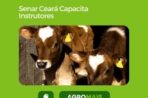 Senar Ceará Capacita Instrutores em Curso de Doma Racional de Novilhas para Ordenha