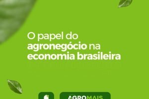 O papel do agronegócio na economia brasileira