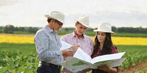 Planejando o Sucesso no Agro em 2025: O Que Não Pode Faltar no Seu Plano