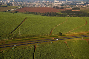 Produção de etanol e biogás pode colocar o Brasil em evidência nas discussões sobre combustíveis sustentáveis na COP30.