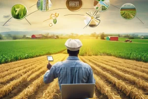 Controle do Fluxo de Caixa no Agronegócio: Como Garantir a Saúde Financeira da Sua Propriedade